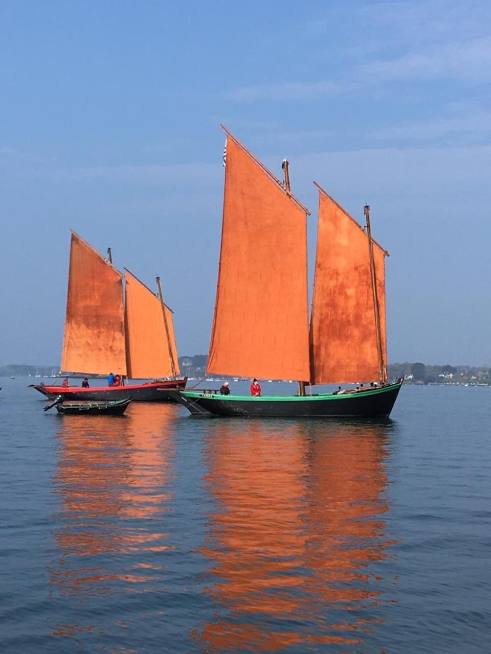 1 2 3 Chambres Entre La Presqu Ile De Rhuys Et Le Golfe Du Morbihan Theix Exteriör bild